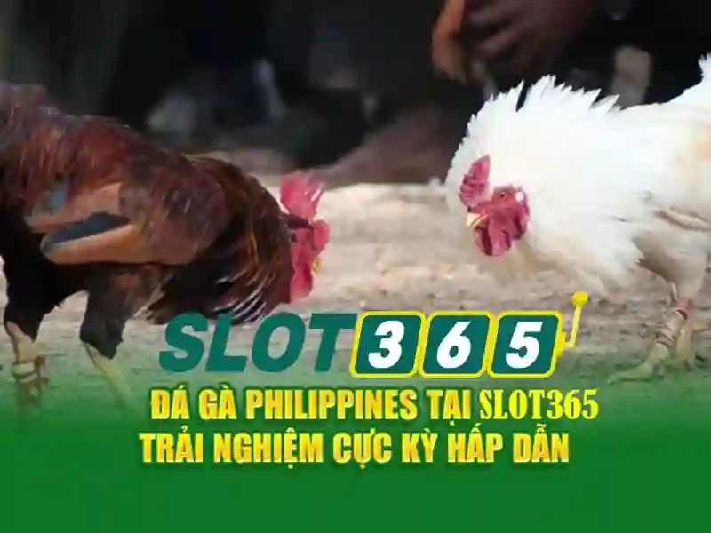 SLOT365 – Hướng Dẫn Đăng Nhập Live Slot365 Login An Toàn 2026