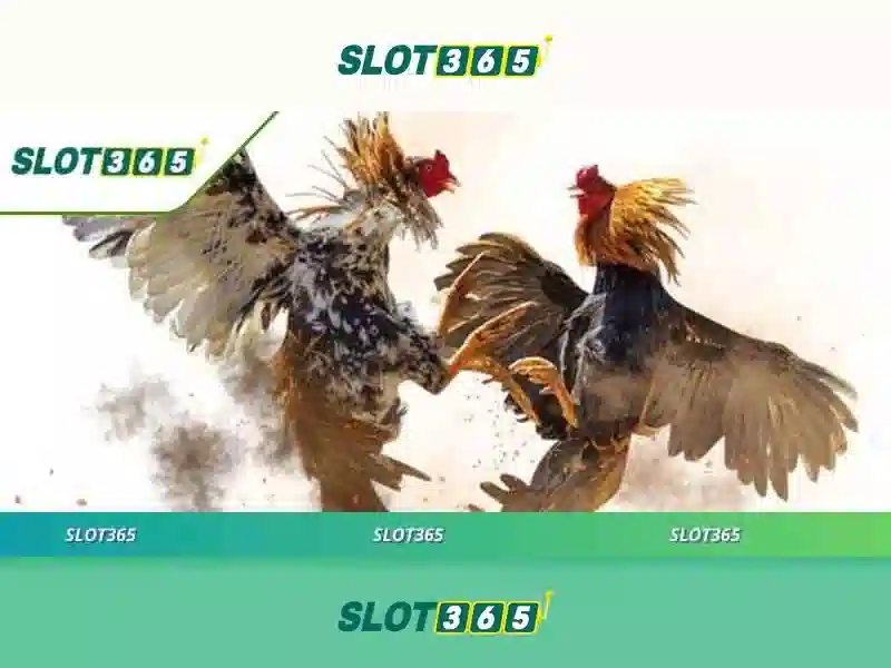 Trải Nghiệm Slot365