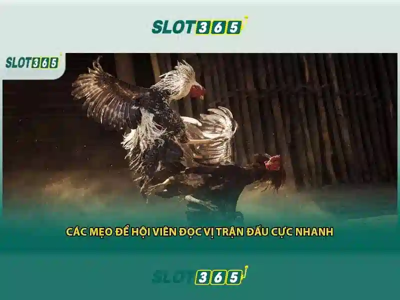 Giới thiệu về SLOT365