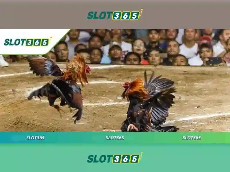 Quyền Riêng Tư SLOT365