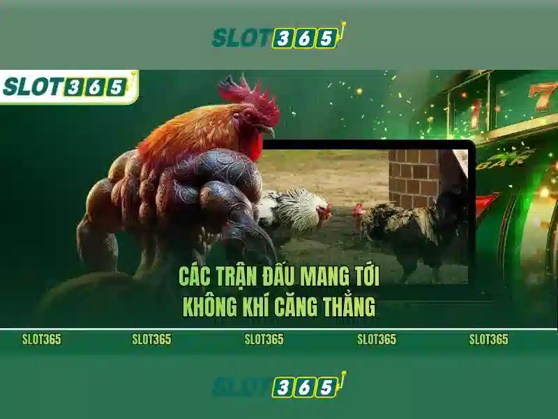 SLOT365 - Hướng Dẫn Slot365 Chi Tiết Nhất 2026