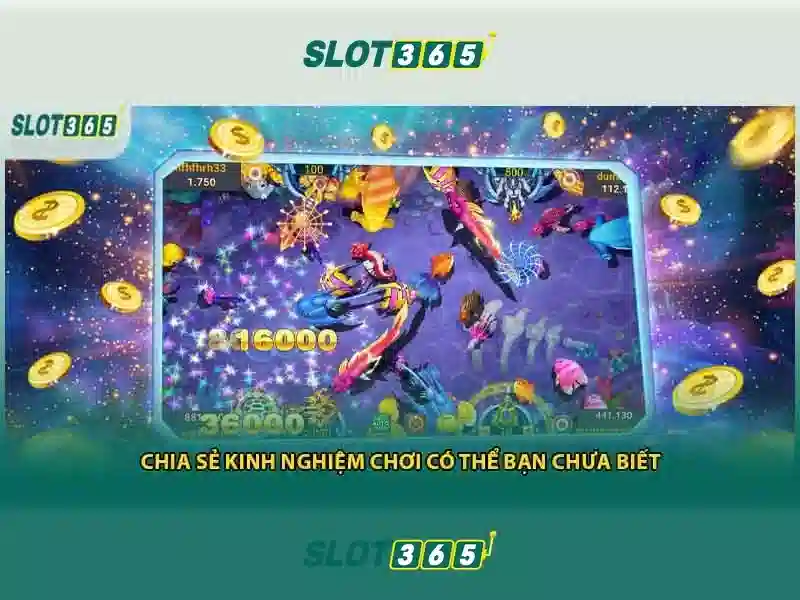 Lý Do Chọn Slot365