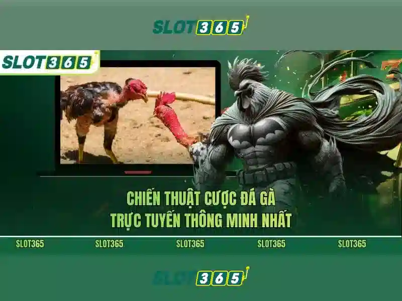 trải nghiệm cá cược