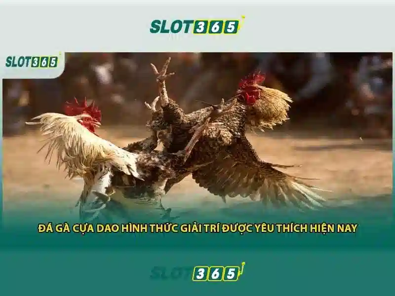 Chương Trình Slot365 Tang 200k
