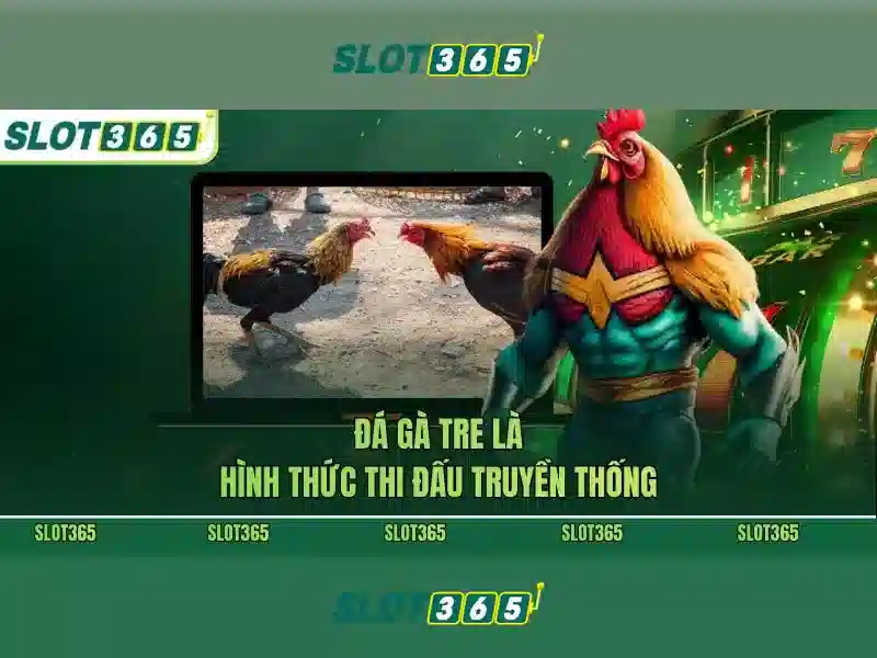 SLOT365 – Nền tảng giải trí trực tuyến uy tín tại châu Á 2026