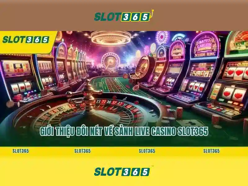 Tính năng Slot365 mới