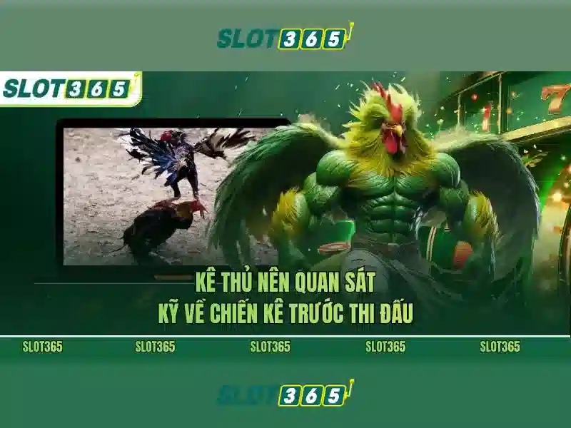 Trải Nghiệm Slot365