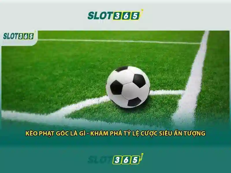 HƯỚNG DẪN CHƠI SLOT365