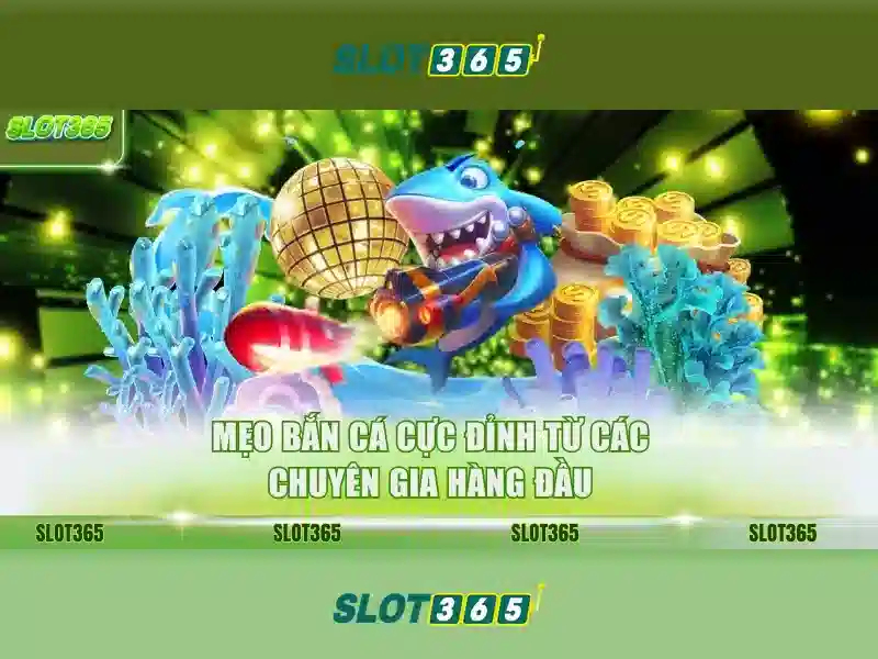 SLOT365 - Trải Nghiệm Cá Cược Trực Tuyến Đa Dạng, Ưu Đãi Slot365 Com1 Hấp Dẫn - Copyright © 2026