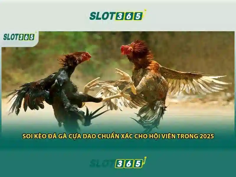 Nhận Thưởng Slot365
