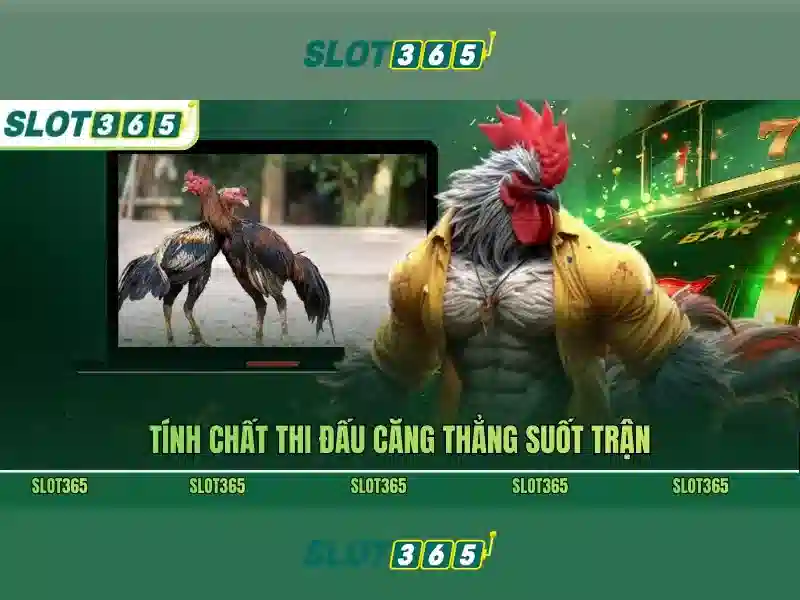 Đăng Nhập Slot365