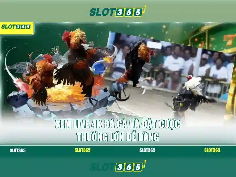Heylink Slot365 Login – Truy Cập Nhanh Chóng