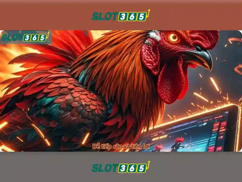 Slot365 Chính Thức