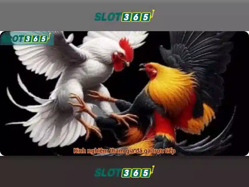 slot365 tảng 200k – chương trình ưu đãi độc quyền