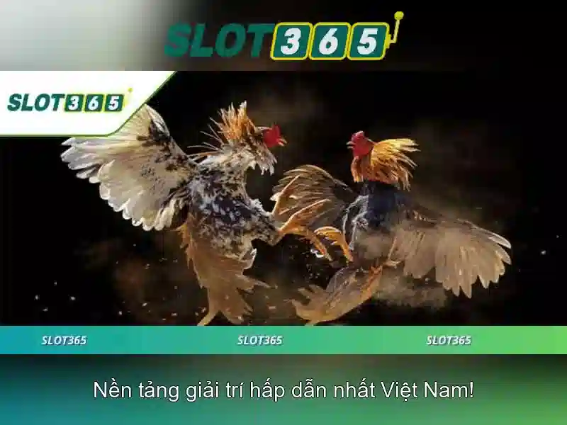 SLOT365 Ưu Đãi Độc Quyền