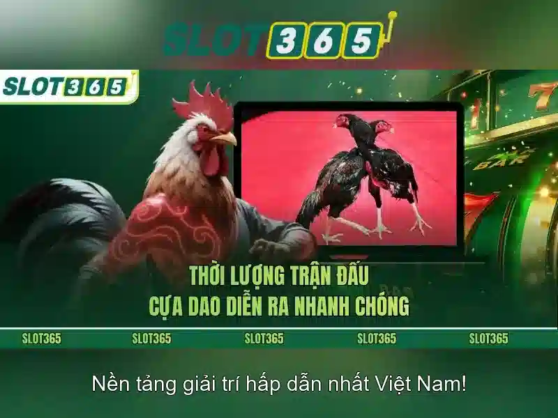Điều Khoản Slot365