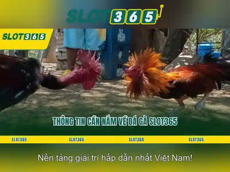 SLOT365 – Slot365 Free Chính Thức Không Bị Chặn 2026