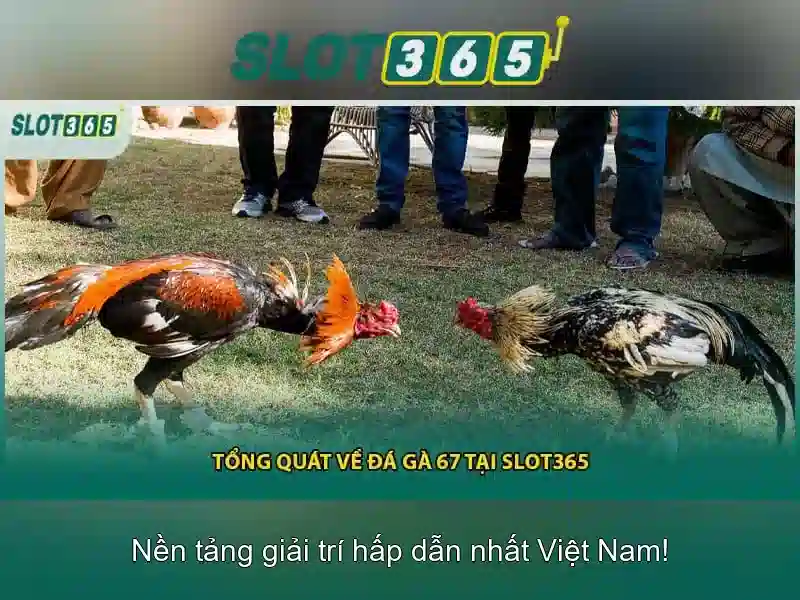 slot 3d