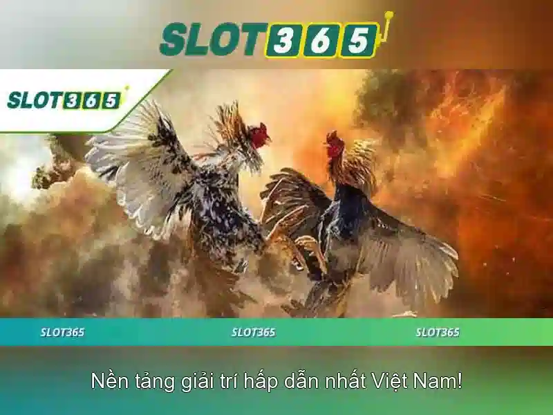 khuyến mãi slot365 tái