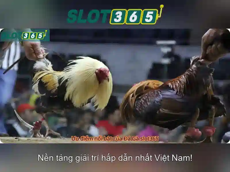 Hướng Dẫn Sử Dụng Giftcode Slot365 IMG.EN --></p><h3>Khuyến Mãi Slot365 – Cơ Hội Tận Hưởng Ưu Đãi</h3><p>Ngoài giftcode Slot365, Slot365 còn có nhiều chương trình khuyến mãi hấp dẫn, bao gồm:</p><ul><li><strong>Khuyến mãi nạp tiền</strong>: Nhận thêm 10% giá trị nạp tiền khi sử dụng giftcode Slot365.</li><li><strong>Quà tặng sinh nhật</strong>: Người chơi được tặng quà đặc biệt vào ngày sinh nhật, kèm theo giftcode Slot365.</li><li><strong>Thưởng nạp lần đầu</strong>: Nhận thêm 50% giá trị nạp tiền đầu tiên khi đăng ký tài khoản Slot365.</li></ul><p class='body_img'></p><h3>Khuyến Mãi Slot365 – Cơ Hội Tận Hưởng Ưu Đãi</h3><p>Ngoài giftcode Slot365, Slot365 còn có nhiều chương trình khuyến mãi hấp dẫn, bao gồm:</p><ul><li><strong>Khuyến mãi nạp tiền</strong>: Nhận thêm 10% giá trị nạp tiền khi sử dụng giftcode Slot365.</li><li><strong>Quà tặng sinh nhật</strong>: Người chơi được tặng quà đặc biệt vào ngày sinh nhật, kèm theo giftcode Slot365.</li><li><strong>Thưởng nạp lần đầu</strong>: Nhận thêm 50% giá trị nạp tiền đầu tiên khi <a href=