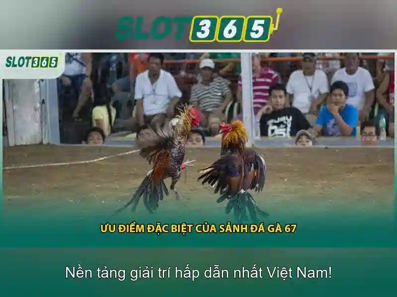 hướng dẫn Slot365