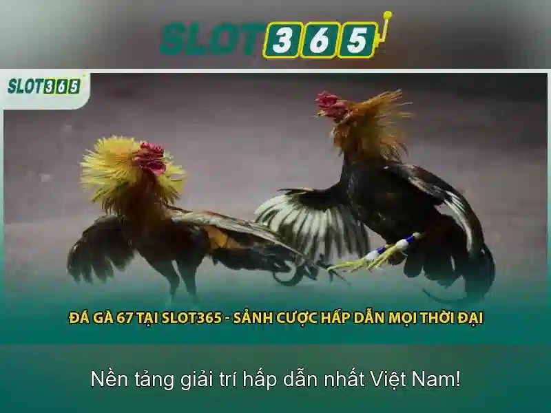 Các Loại Khuyến Mãi Slot365