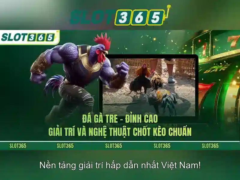 Hướng dẫn Slot365