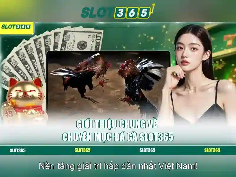 Khuyến Mãi Slot365