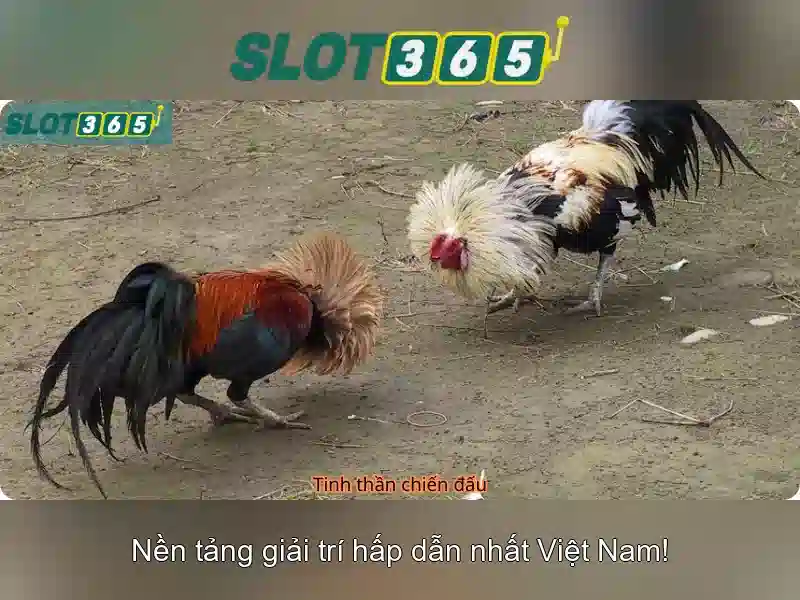 Đa dạng trò chơi Slot365 Win