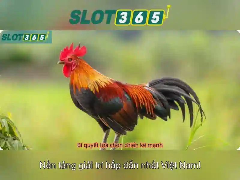 Trải nghiệm Slot365 Win