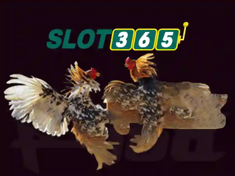 Khuyến Mãi Slot365