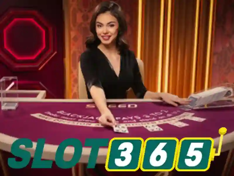 Dịch vụ xổ số Slot365